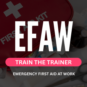 Emergency First Aid at Work - Train-The-Trainer in Colchester