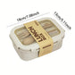Eco-Friendly Wheat Straw Lunch Box (850ml)